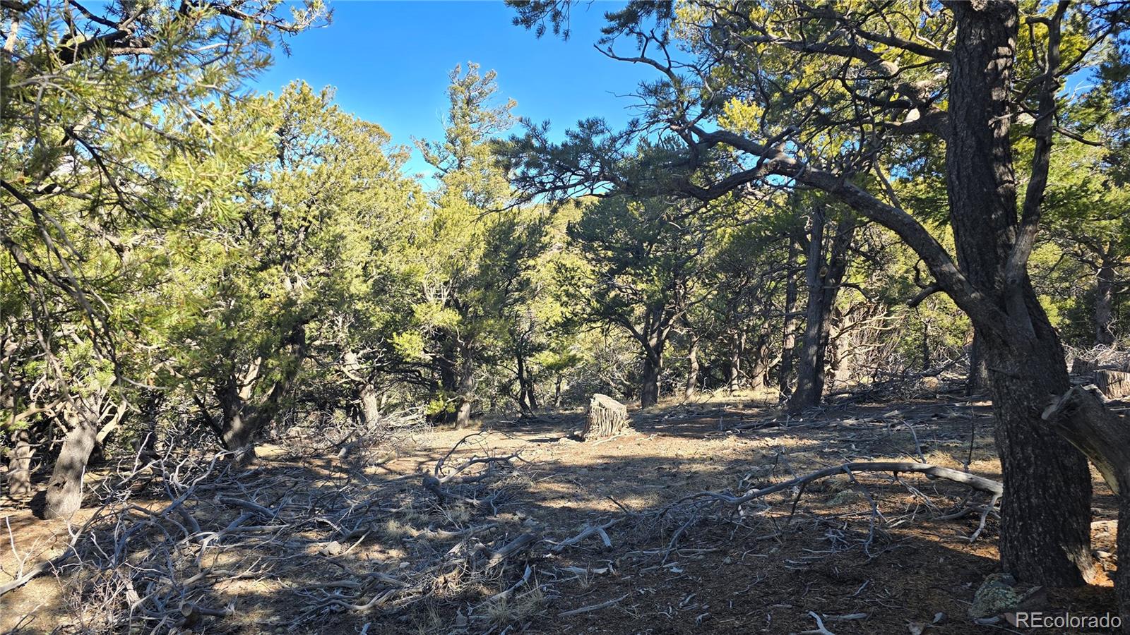 Lot 4510 Iannelli Road