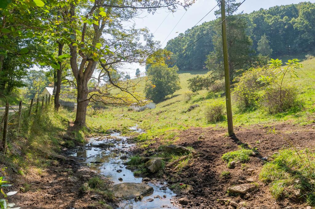 Check out this 46 acres of beautiful, usable farmland on Odell Road in one of Wythe County's most desirable areas! Offering impressive long-range views of the Cove Mountain Range, this property combines productive acreage, natural water sources, and an exceptional setting. The land is mostly cleared and well-suited for cattle, horses, farming, or anyone looking for quality open acreage with plenty of room to grow. Scattered mature hardwoods add character and provide natural shade throughout the property, while a year-round stream and natural spring offer valuable water sources for livestock and agricultural use. Wildlife is abundant, adding recreational appeal for hunting and outdoor enthusiasts. Several existing structures are also located on the property and could provide useful storage or support for farming and livestock operations. Whether you're looking to expand an agricultural operation, establish a working farm, build your dream home with incredible mountain views, or simply own a substantial piece of land in a sought-after area, this property offers tremendous potential. With 46 acres, beautiful views, open ground, natural water, and a great Wythe County location, opportunities like this are becoming increasingly hard to find.