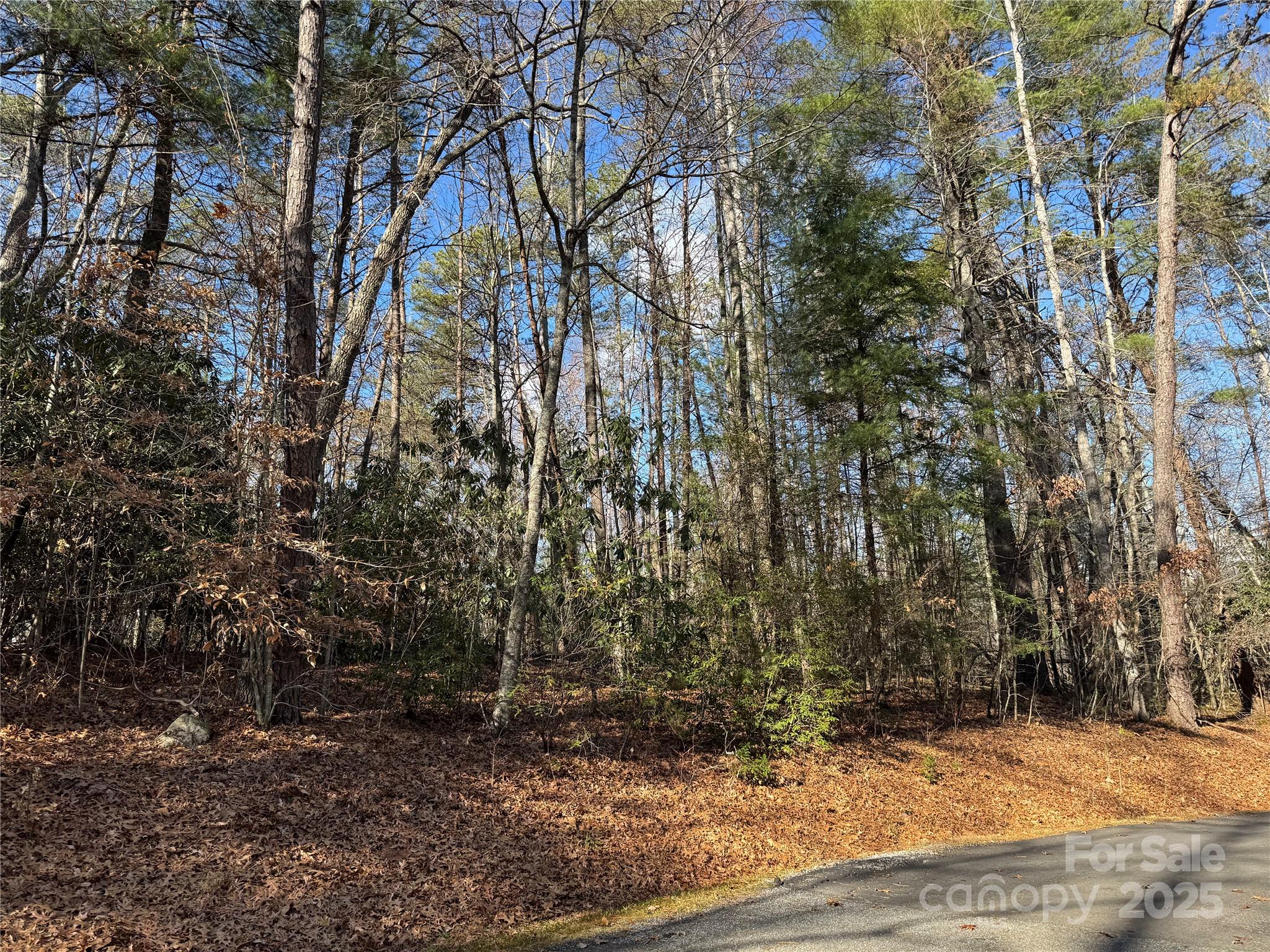 137 Nancy Ashworth Lane 13