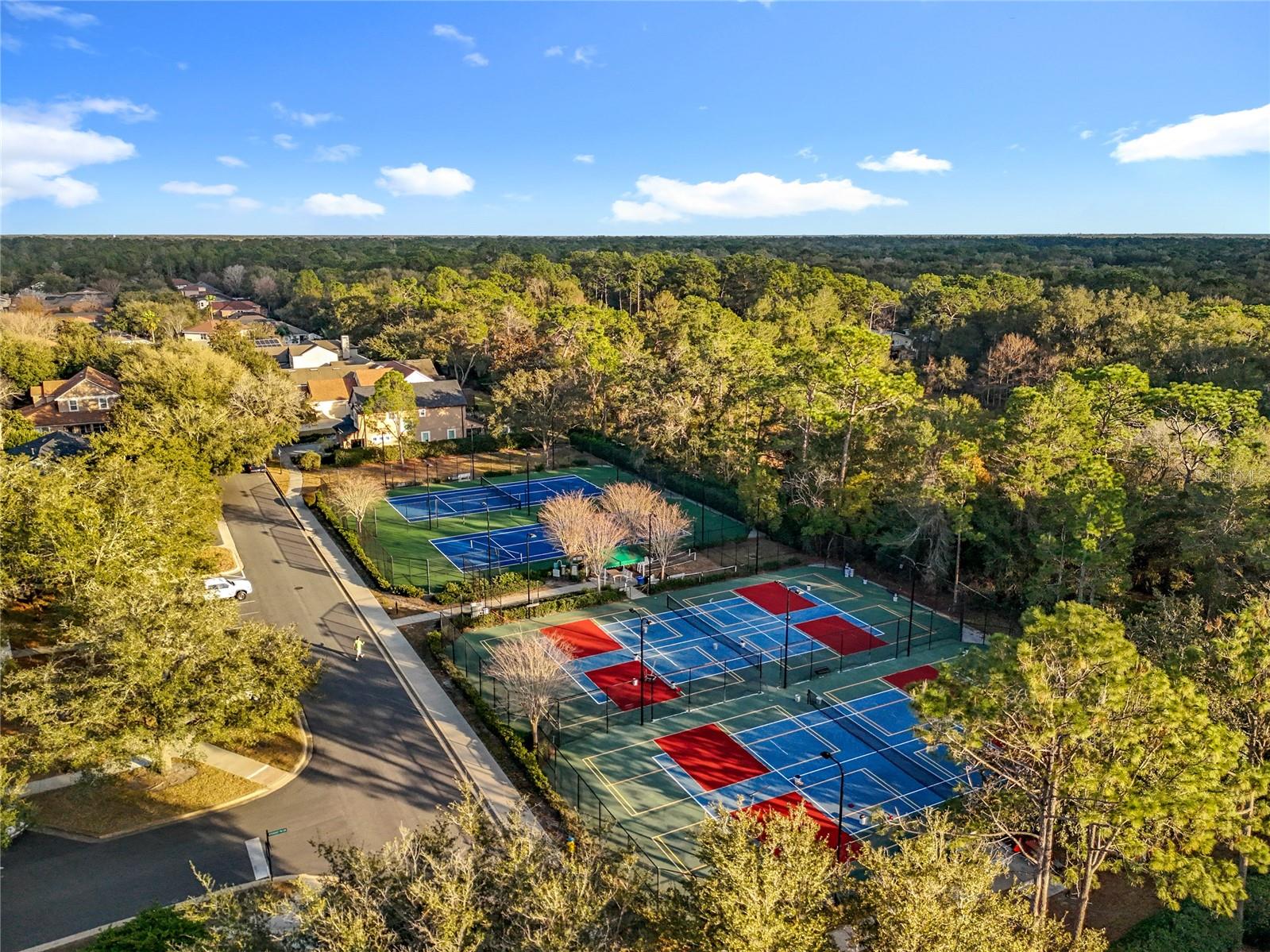 295 Northcote Court