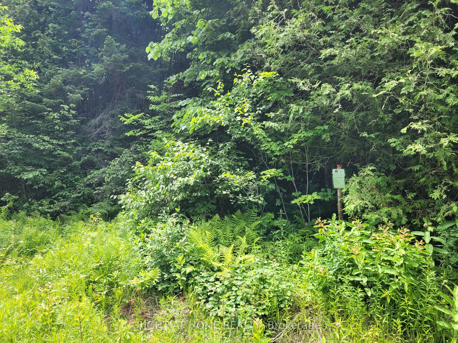 Lot 1 Canaan Rd