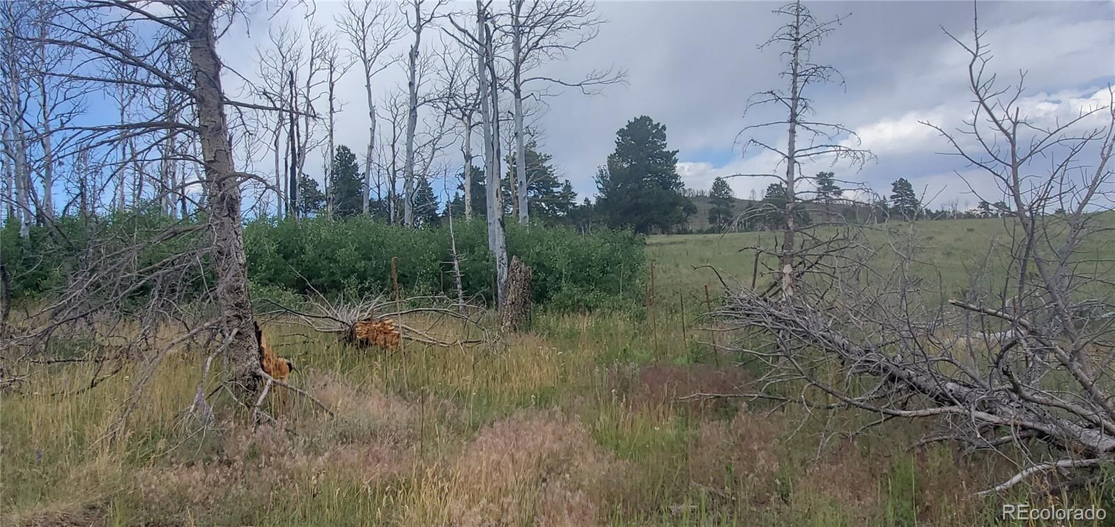 Lot 1720 Fitts Place