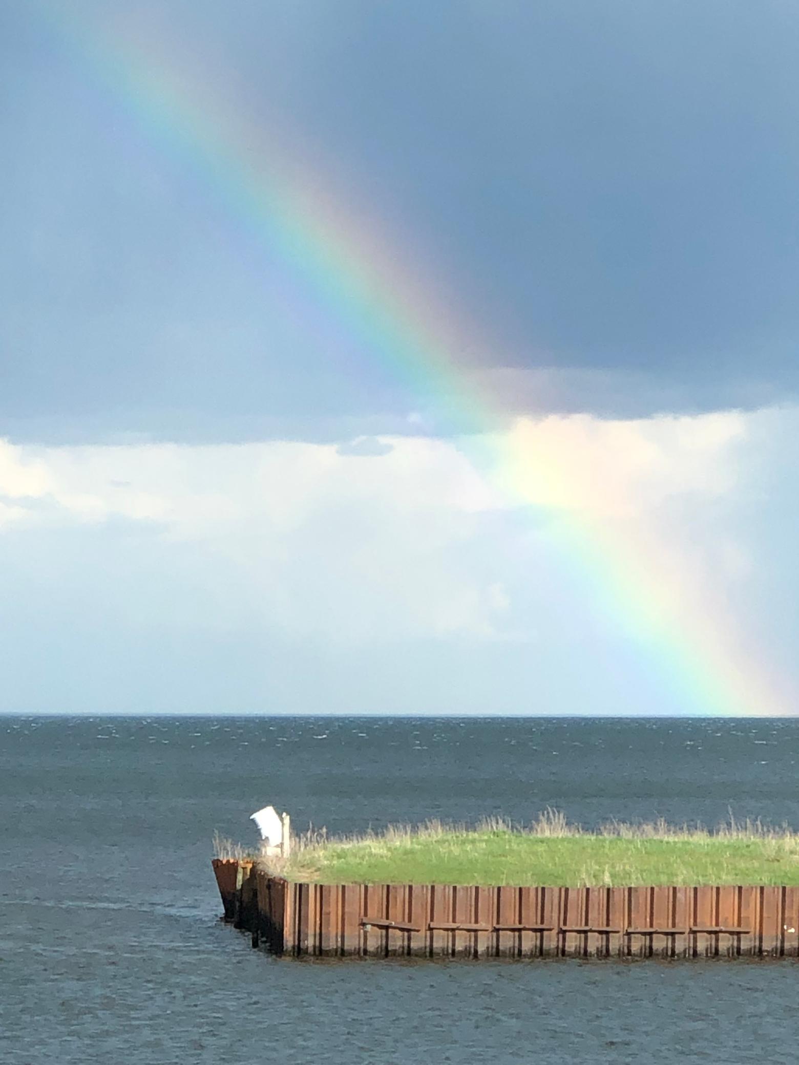 10490 Us Highway 169 106