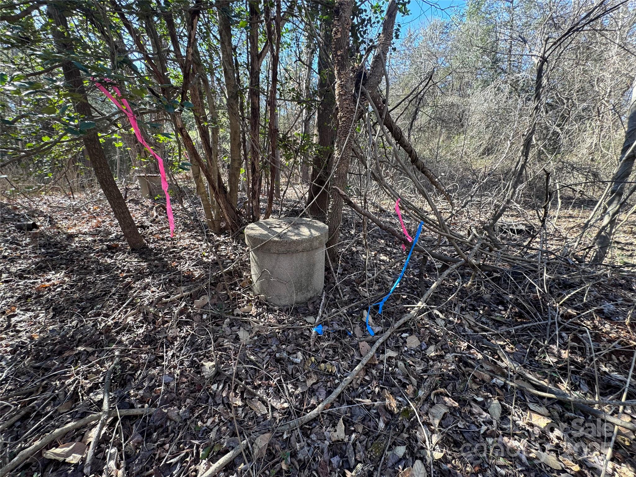 4675 Harmony Highway