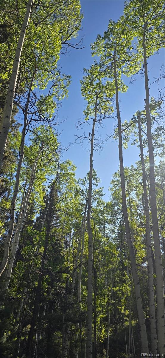 Lot 6385 Jaquez Road