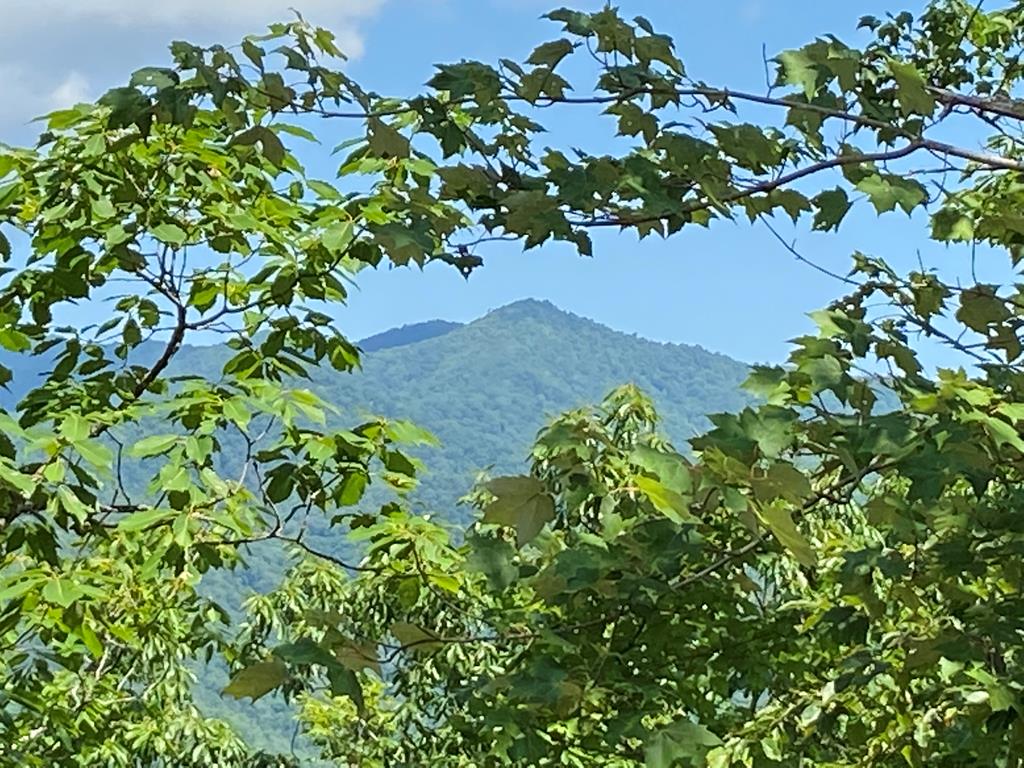 Welcome to your future homesite! With a little tree removal, this parcel of land offers breathtaking views, and is nestled within a quiet, gated community. Whether you're dreaming of a mountain retreat, or a peaceful getaway, this property is ready to bring your vision to life. To make things even better, there is a septic system installed, and the water tap fee has already been paid. There is also power to the property! Don't miss this rare opportunity to own a great property with everything in place to start building! Located about 10 minutes from downtown Andrews, and close to the Nantahala National Forest and Appalachian Trail, this land is a smart investment in lifestyle and location.