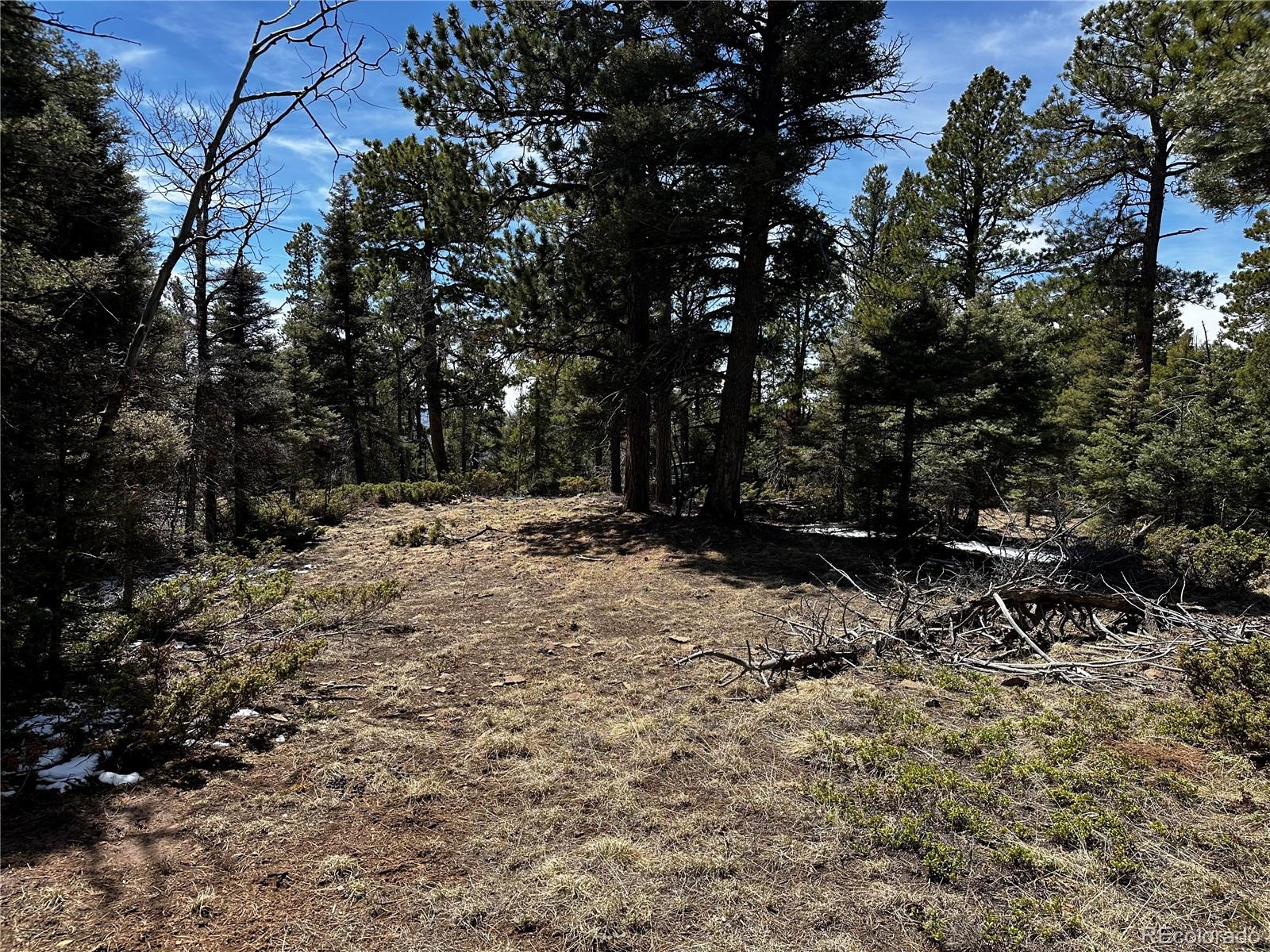Lot 174 Ferris Place