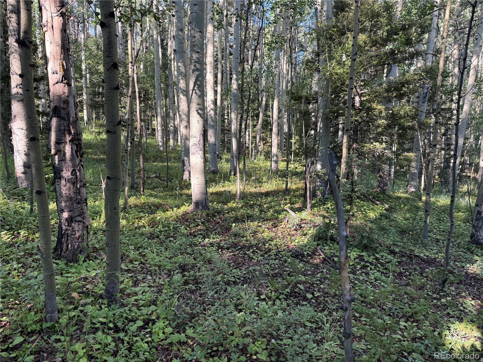 Lot 5331 Hull Road