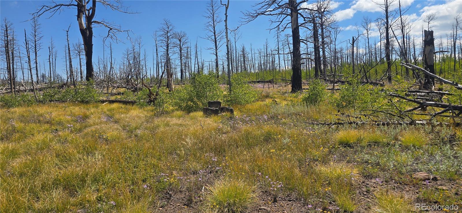 Lot 1242 Granville Loop