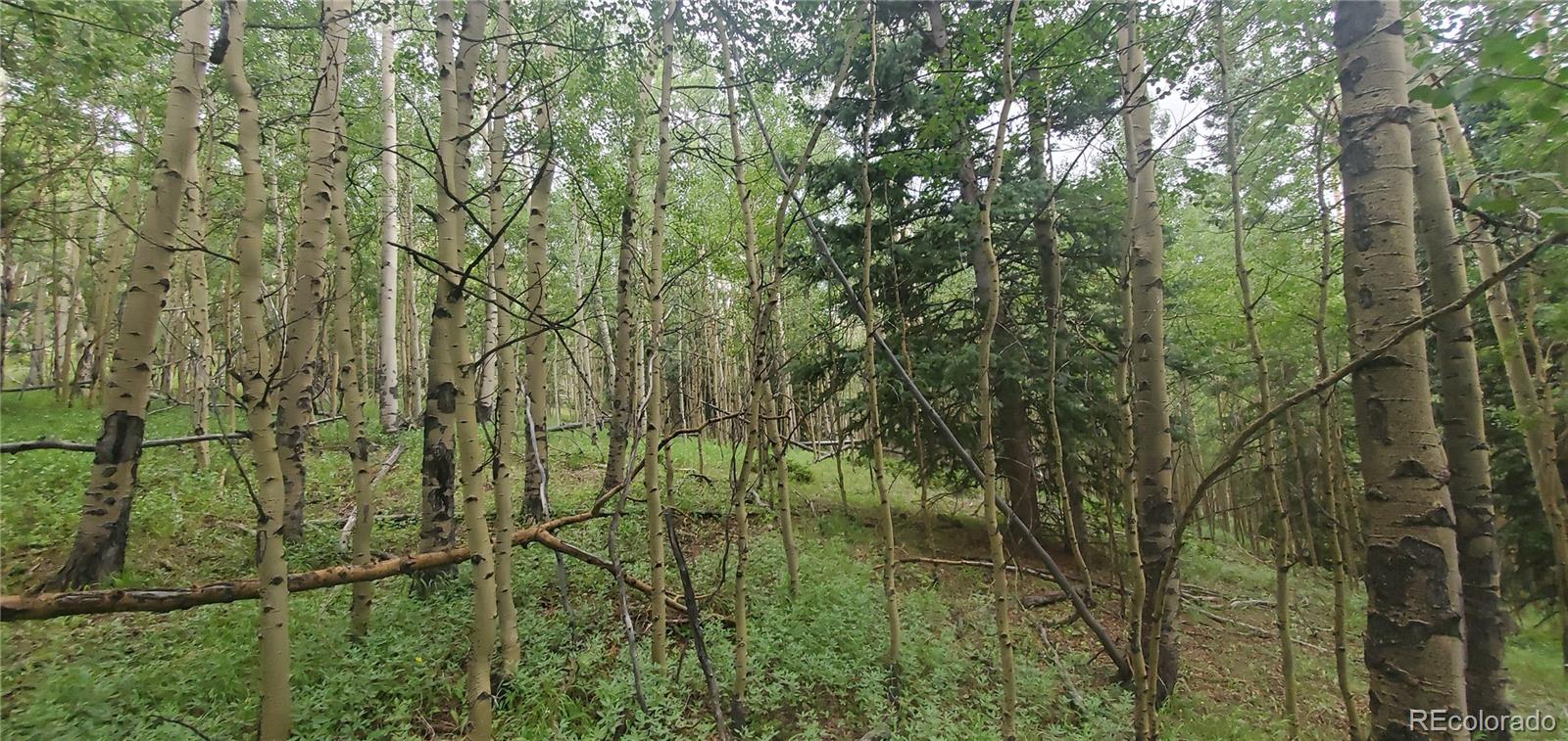 Lot 6882 Donna Road