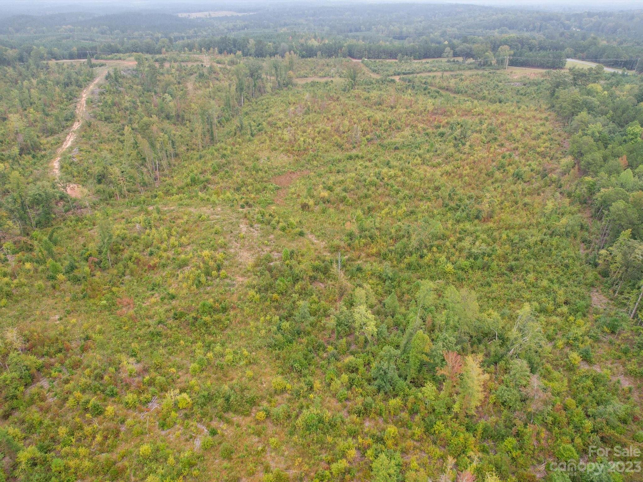 SR 1646 Morgan Sellers Road