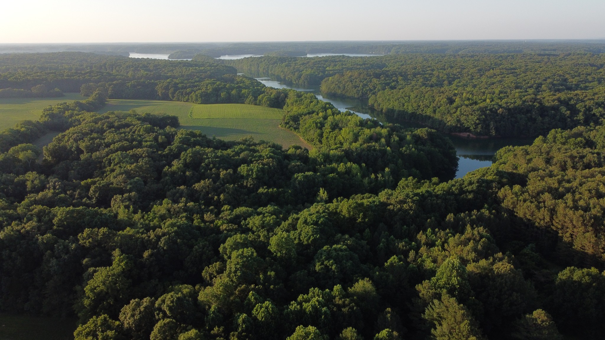 Lake Front Homes on Tims Ford Lake