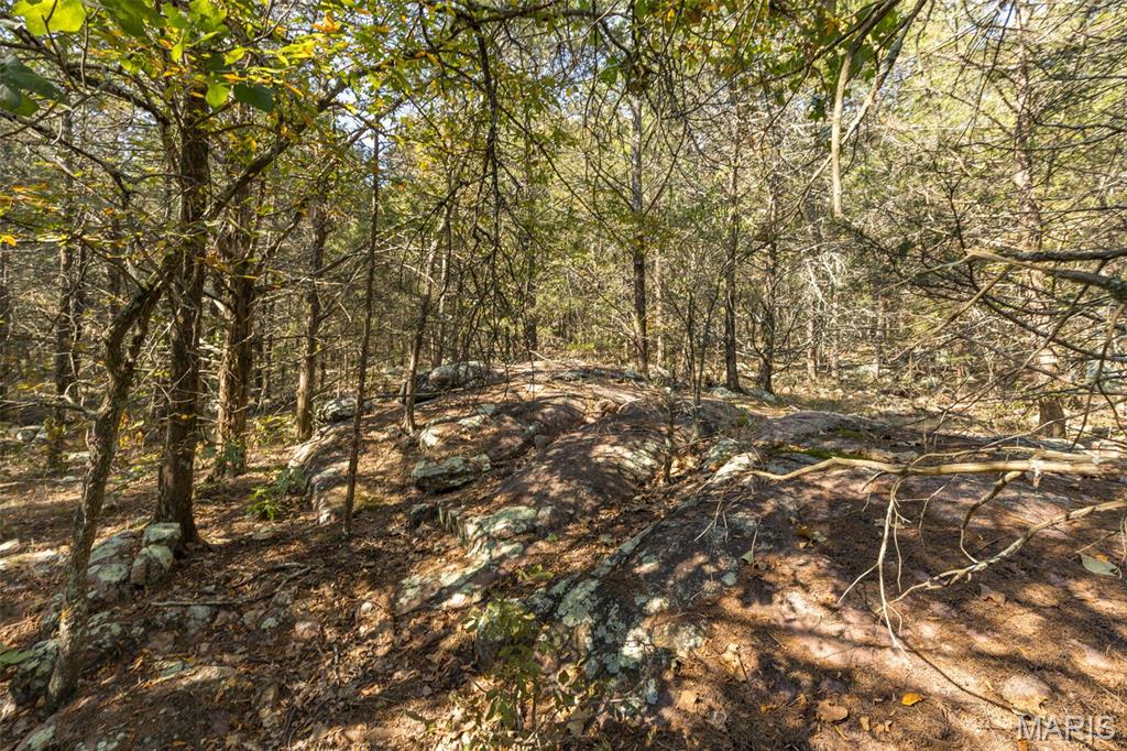 12.5+/- Acres On Effin Road