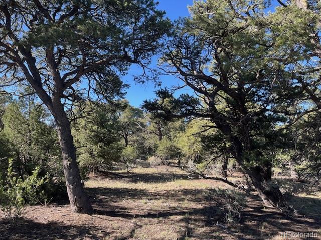 Lot 4 Elk Park Road