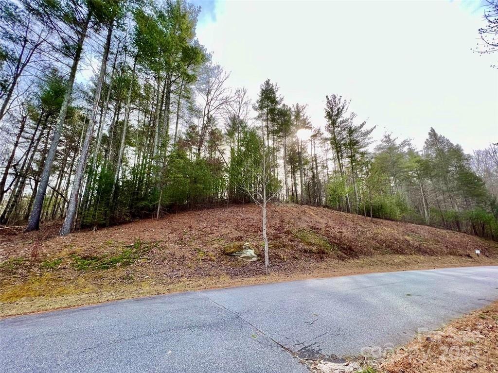 Lot 77, 1712 Round Mountain Parkway Lot 77