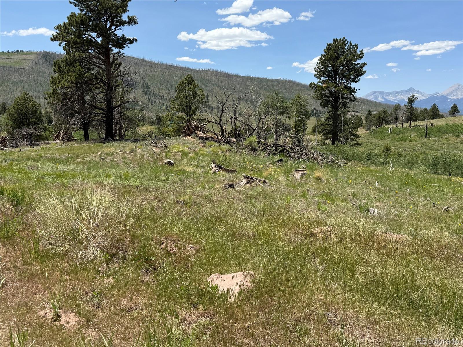 Lot 1103 Emery Loop