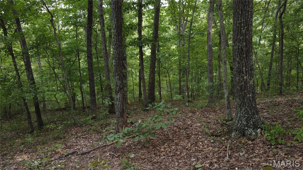 10223 San Juan Trail