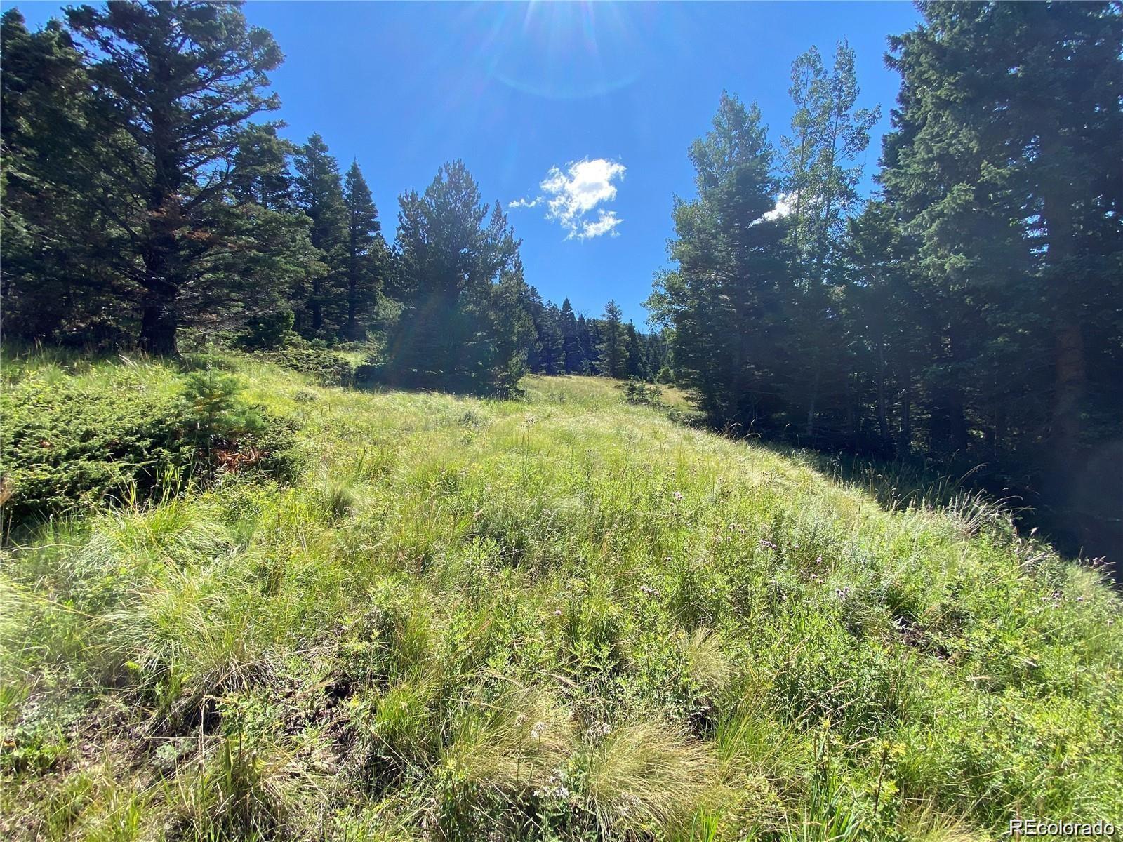 Lot 3141 Forbes Loop Road