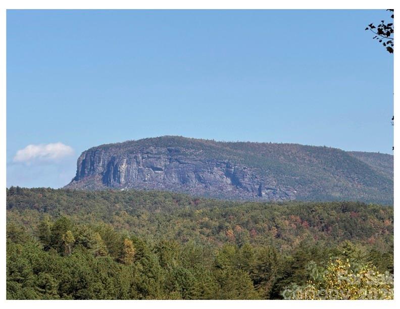Lot #4 Pisgah Preserve Drive