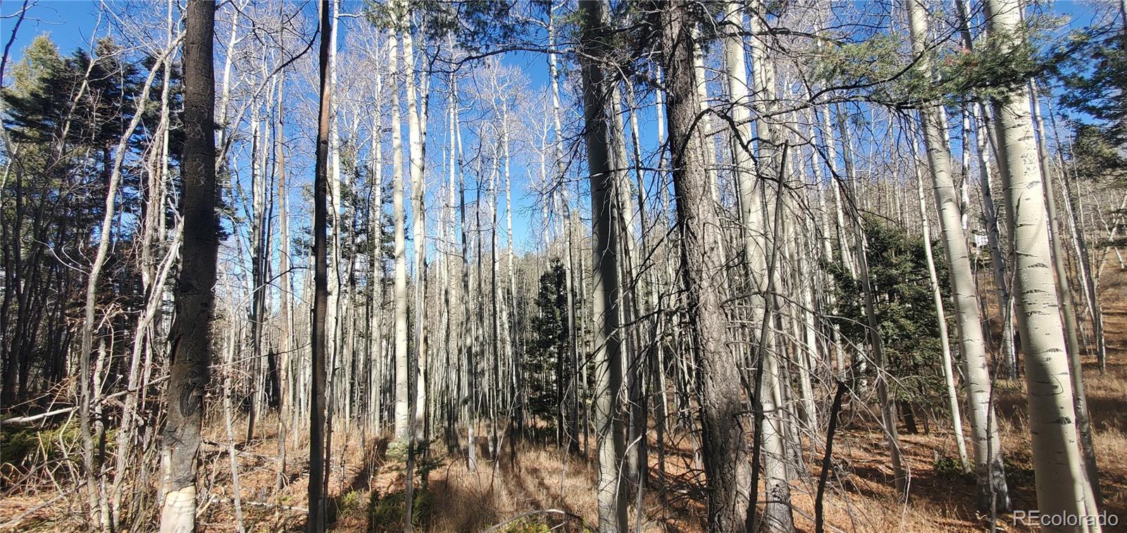 Lot 6060 Forbes Road