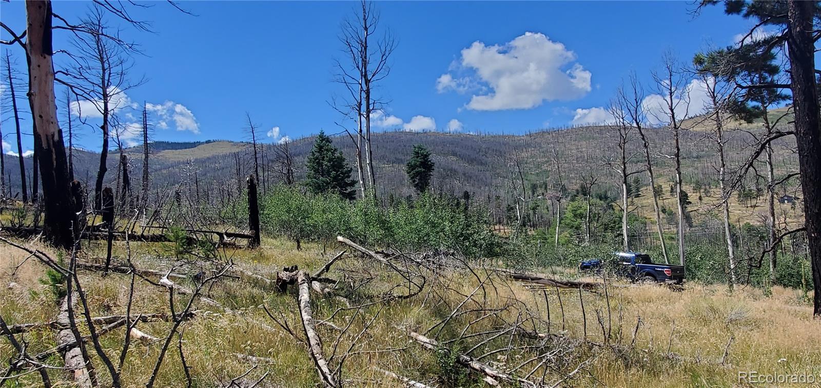 Lot 1064 Reed Lane