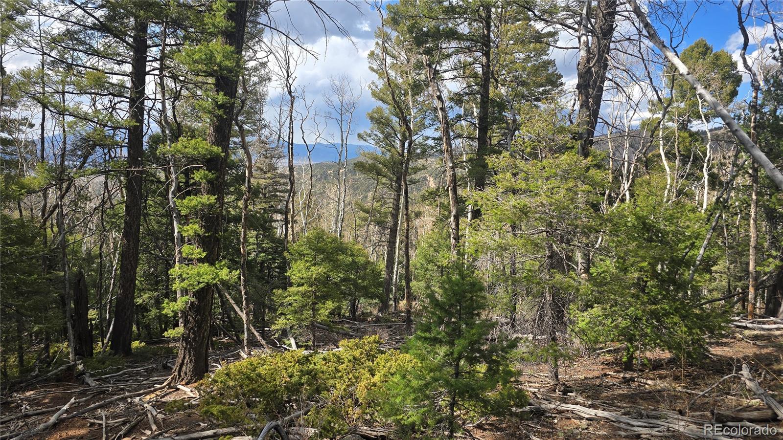 Lot 5261 Scott Road