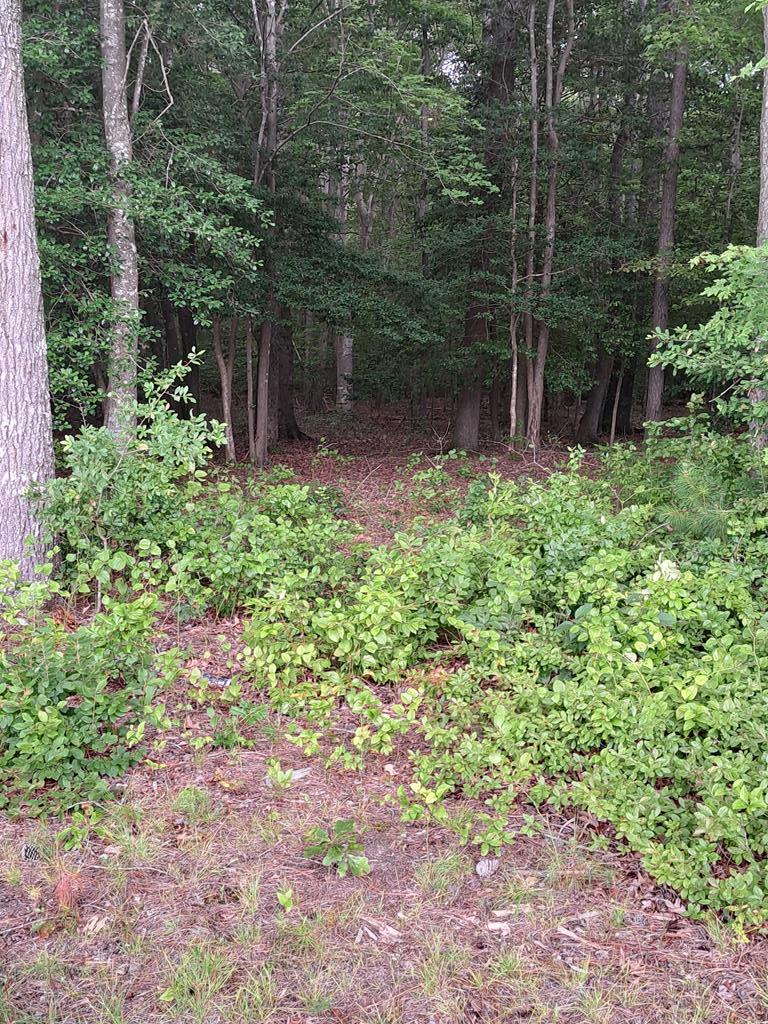 Large wooded lot in the community of Baywatch in New Church, Va.  This community is located on Pitts Creek and has a pier that is great for crabbing and fishing.  Community has several man-made ponds. community dry-hydrant fire hydrant, and a community barn for the family horse.  Just minutes from the Maryland/Virginia stateline and just a short commute to the NASA/Wallops Flight Facility.  Perc approval uploaded into the MLS.