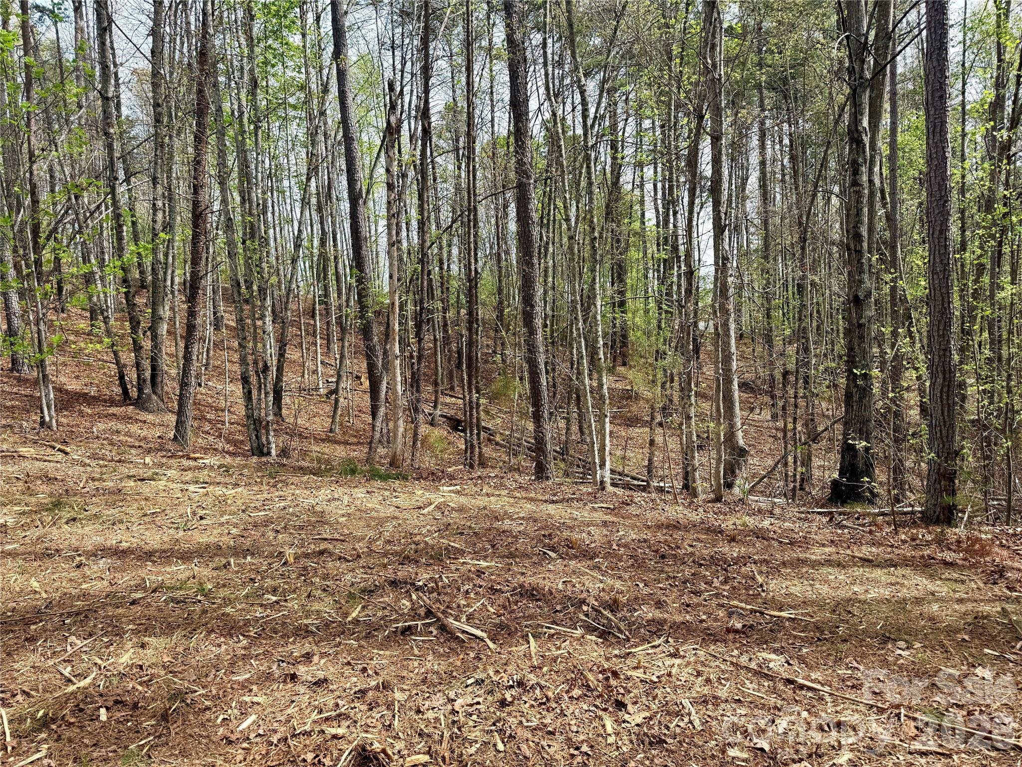 Lot 488 Bella Vista Way 488