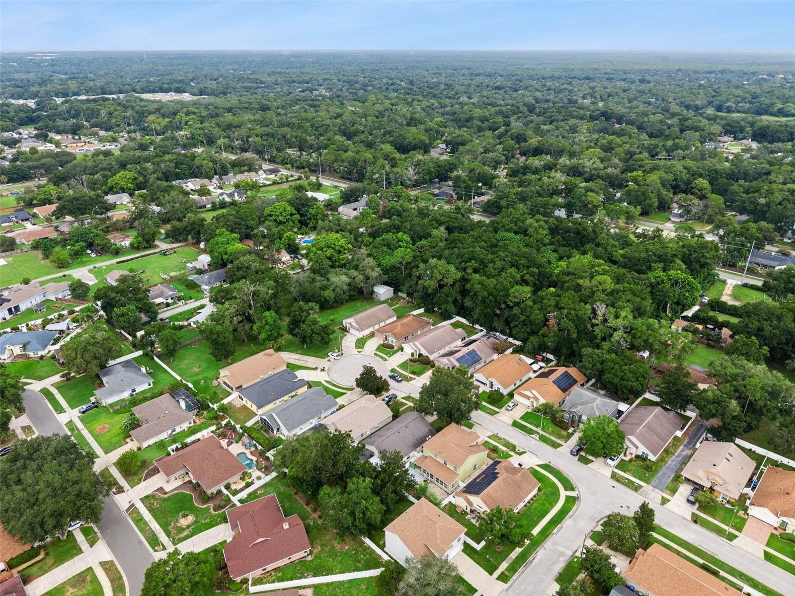 2019 Golden Ivy Way