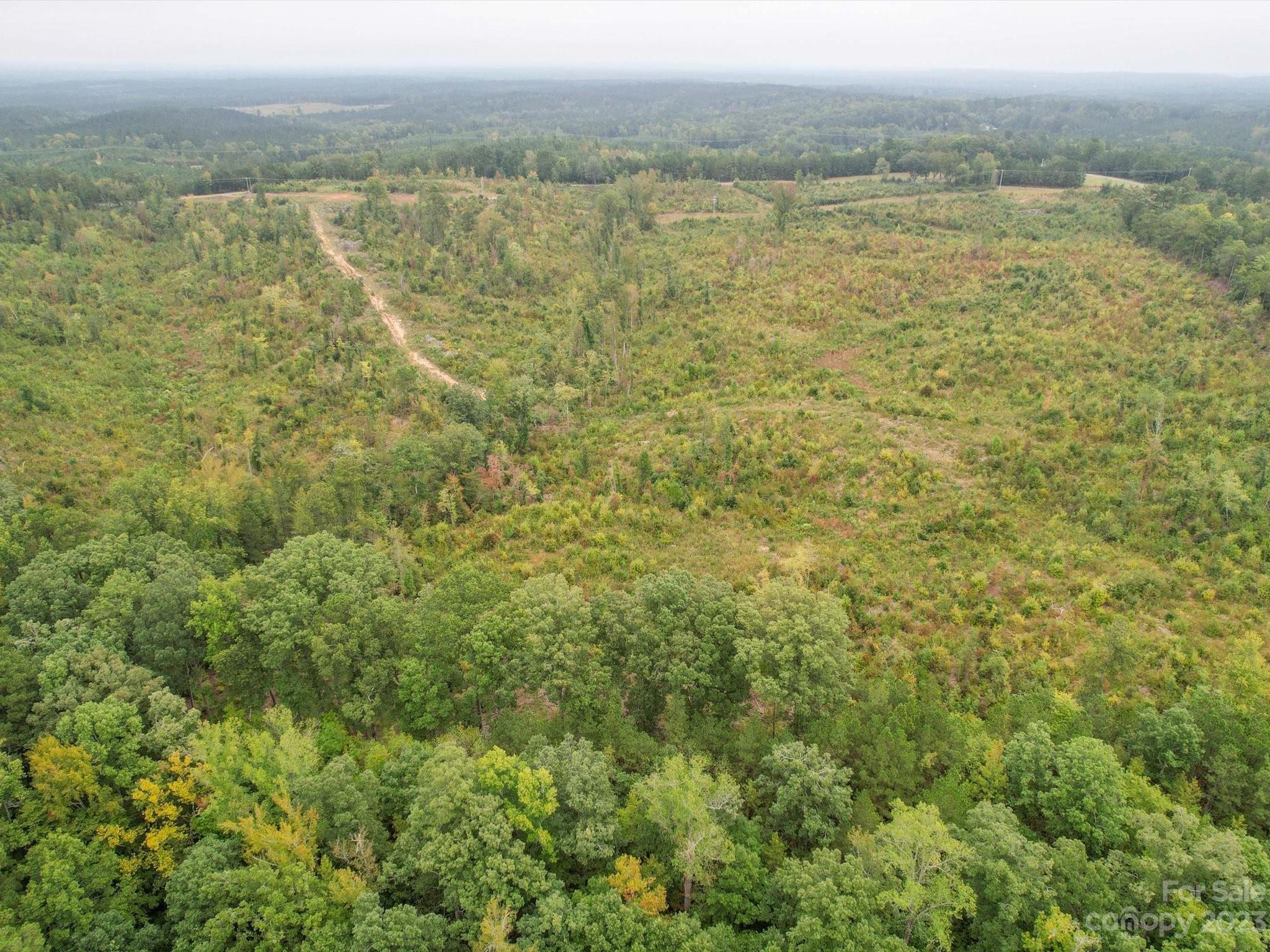 SR 1646 Morgan Sellers Road