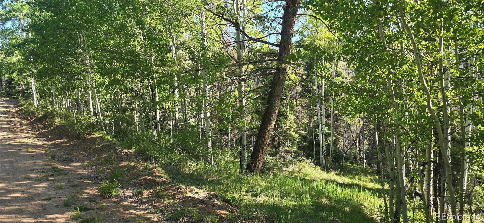 Lot 6385 Jaquez Road