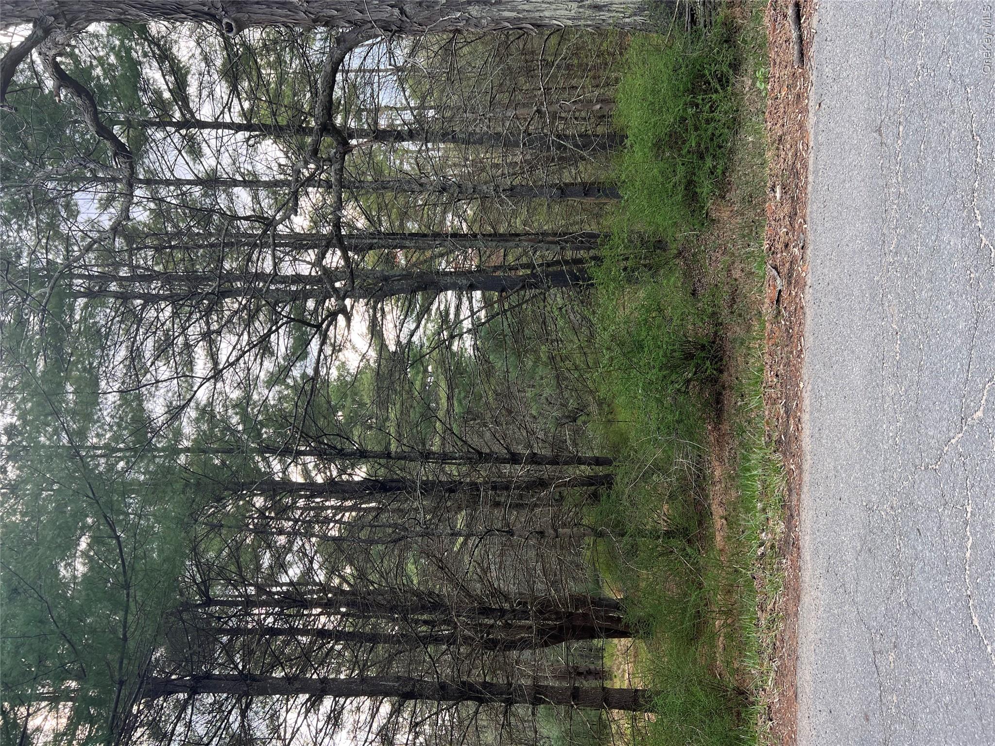 00 Upper Pine Kill Road