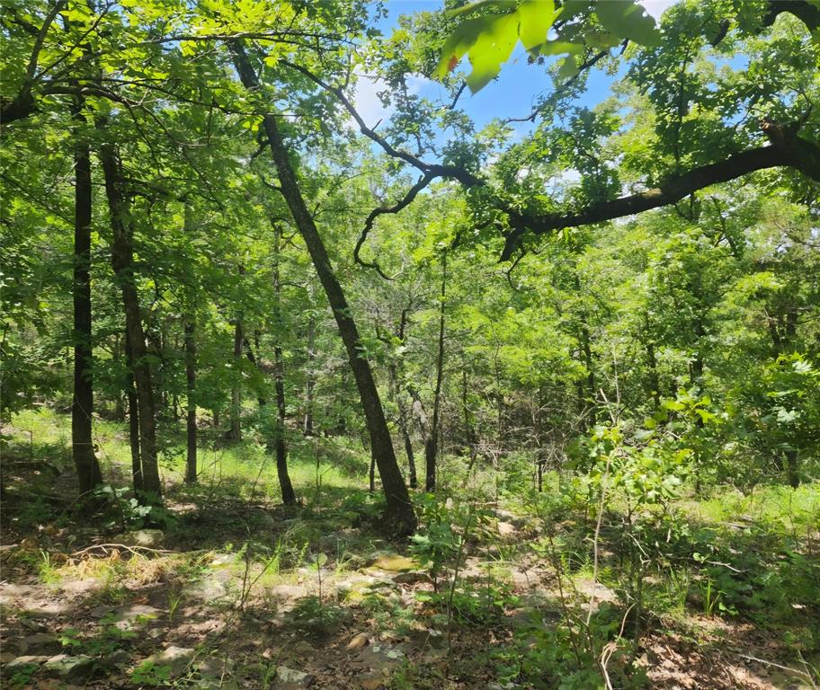 This is an excellent location for your own mini retreat in the Heart of the City...Prime acreage to build your dream home with plenty of room to roam...Bring those ideas, drawings and sketches you have imagined and let them become a reality!Conveniently located near major interstate routes for dining and entertainment...This is that best of both worlds you have been waiting for! A vacation getaway in your own back yard!!!This would also make an excellent investment parcel for the right Buyer to develop into a nice, gated community!!!