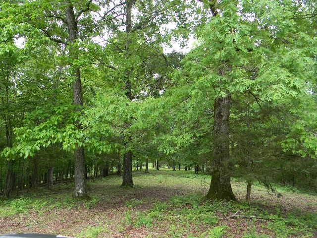 2310 Poplar Grove Rd