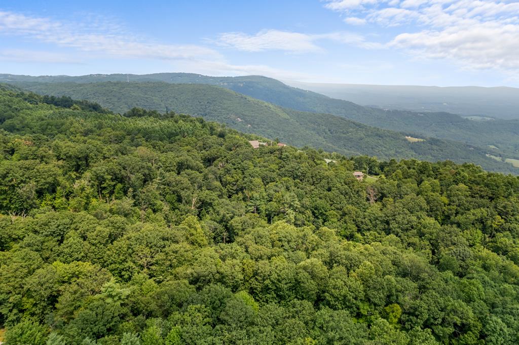Nestled in the desirable Chalet High community just off the Blue Ridge Parkway, this beautiful 0.400-acre wooded lot offers the perfect setting for your dream home or mountain retreat. Featuring a mix of towering mature hardwoods and pines, the property provides a peaceful, natural backdrop with plenty of privacy. Located just minutes from the breathtaking overlooks along the Blue Ridge Parkway, you'll enjoy easy access to some of the region's most scenic views and outdoor recreation. HOA amenities include a community swimming pool, recreational facilities, road maintenance, and trash service. Whether you're looking to build a full-time residence, vacation home, or weekend getaway, this property is an excellent opportunity to experience mountain living at its finest.