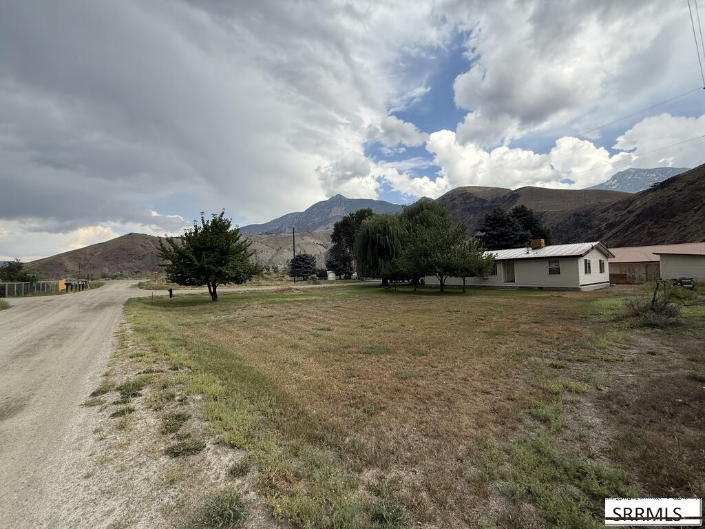 TBD White Tail Drive