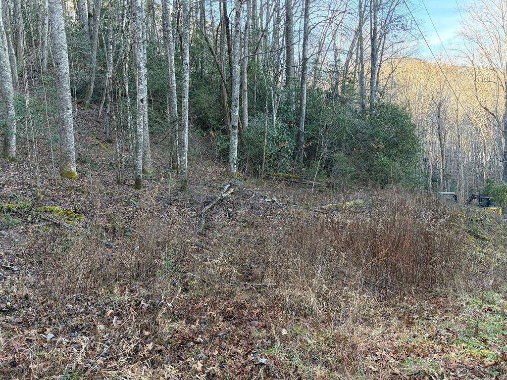 Experience the allure of this stunning 2.54-acre wooded lot, the ideal setting for your dream home! With beautiful lake views and majestic mountain scenery, this property is a true natural paradise. Enjoy the refreshing mountain spring on-site and benefit from easy access, thanks to its location on a paved road. As a proud member of Glen Hay Estates, you'll have exclusive access to the private lakefront park, with the Forest Service boat ramp just a stone's throw away. Seize this incredible opportunity to create your perfect retreat in nature!Experience the allure of this stunning 2.54-acre wooded lot, the ideal setting for your dream home! With breathtaking lake views and majestic mountain scenery, this property is a true natural paradise. Enjoy the refreshing mountain spring on-site and benefit from easy access, thanks to its location on a paved road. As a proud member of Glen Hay Estates, you'll have exclusive access to the private lakefront park, with the Forest Service boat ramp just a stone's throw away. Seize this incredible opportunity to create your perfect retreat in nature!