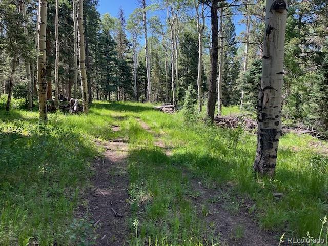 Lot 2684 Coder Place