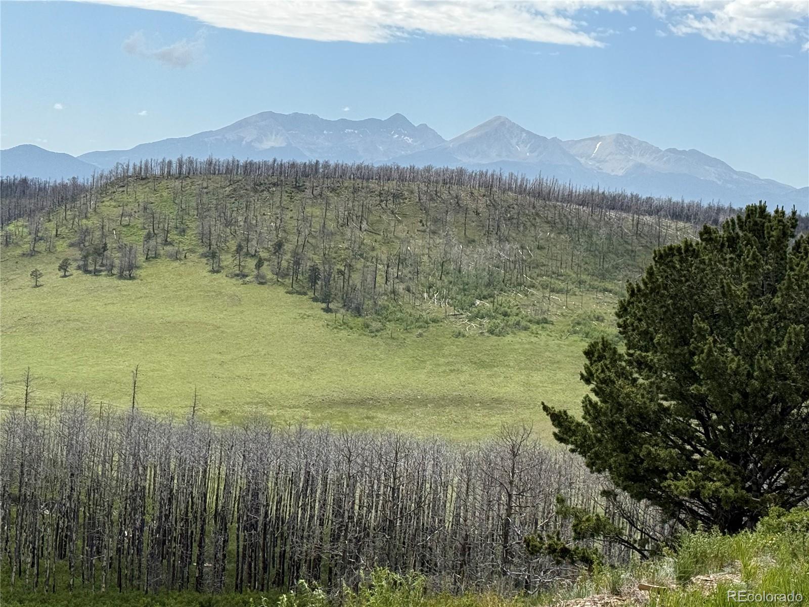 Lot 428 Powers Road