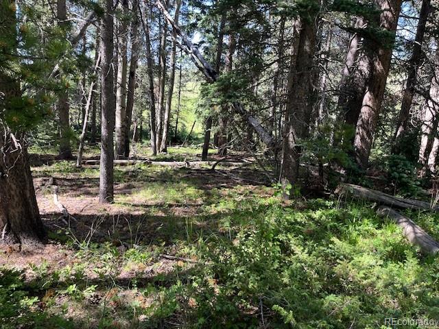 Lot 2893 Coder Place