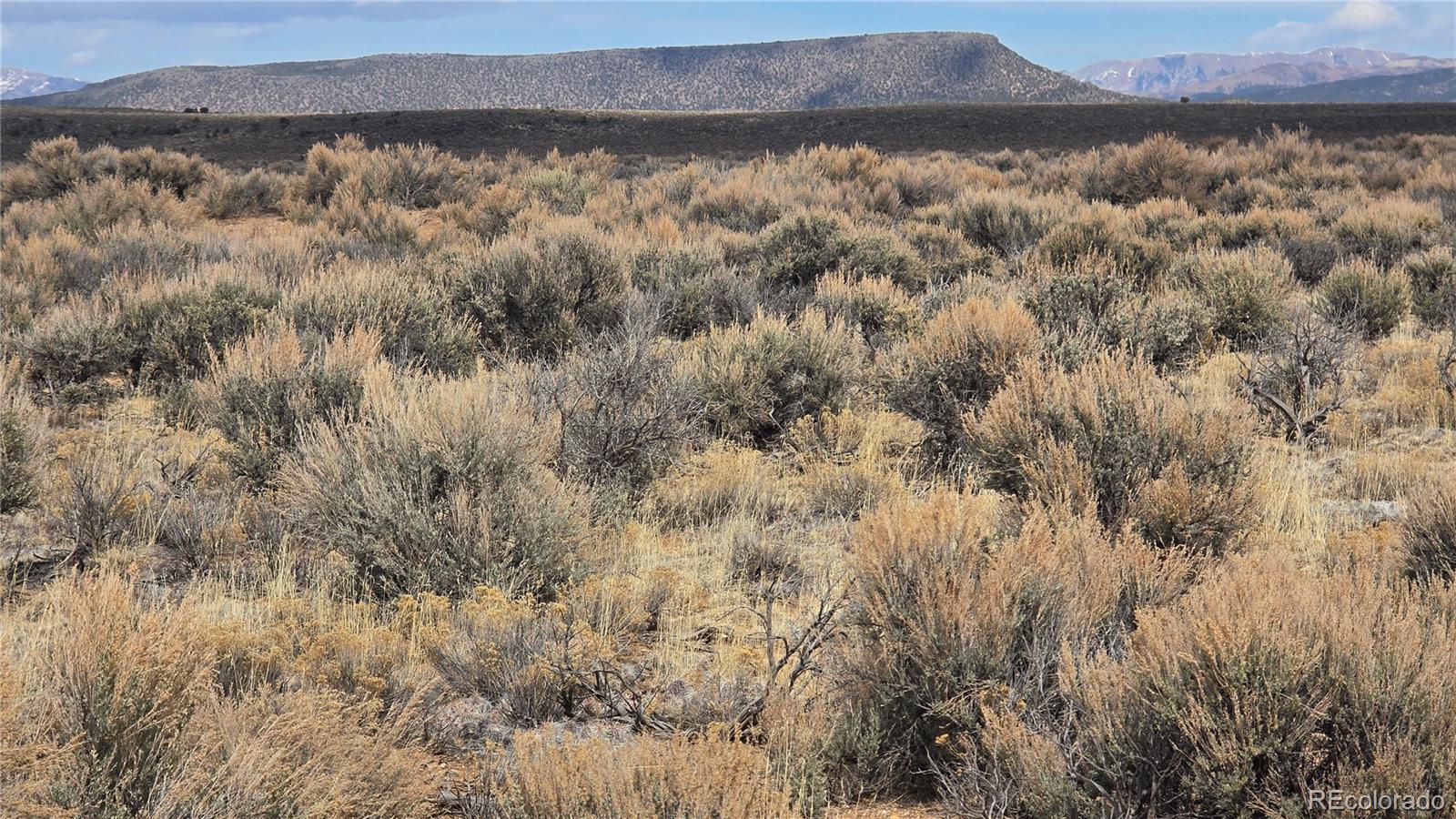 20 acres Third Street