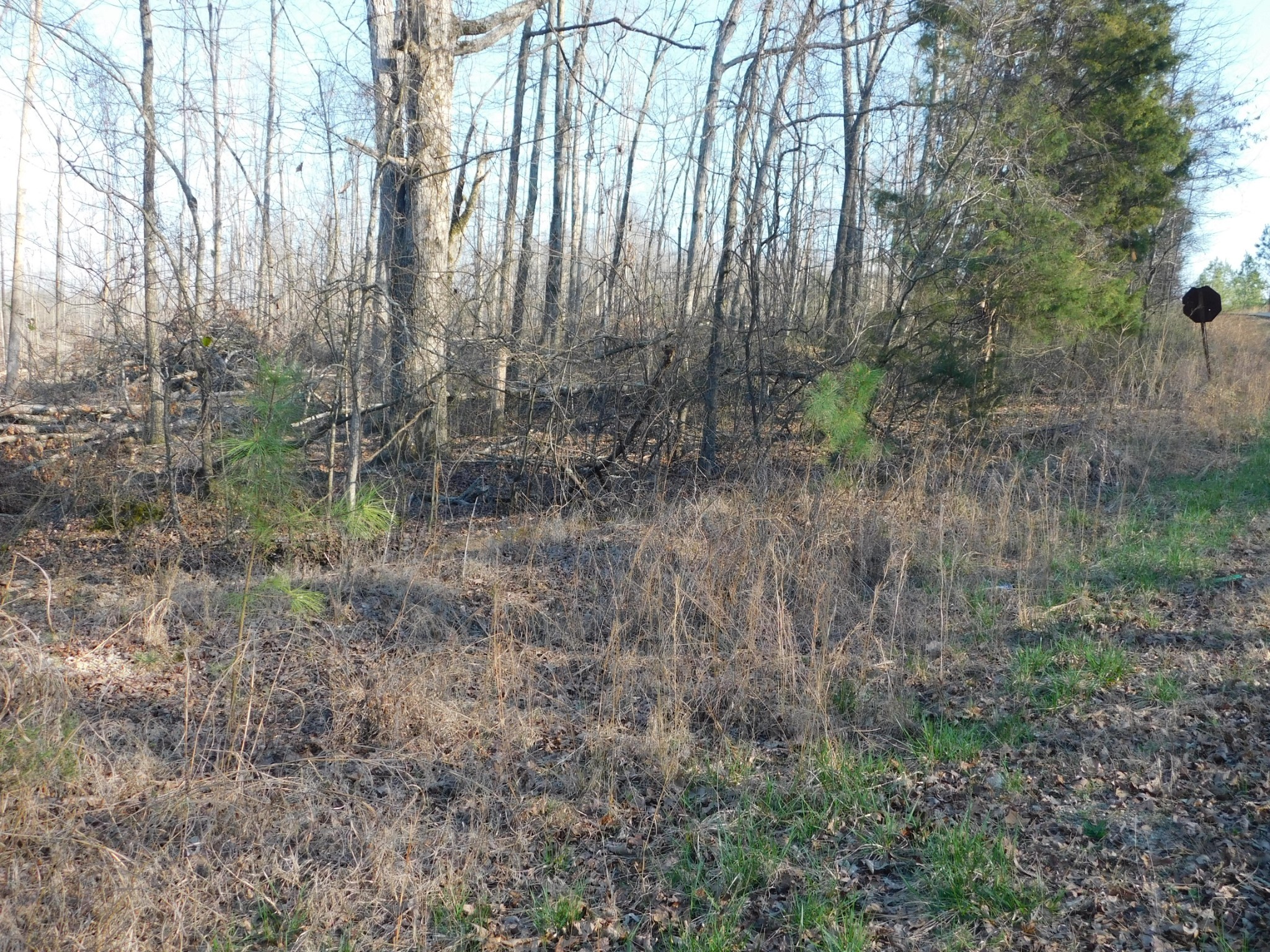 0 Lucas Ridge Road