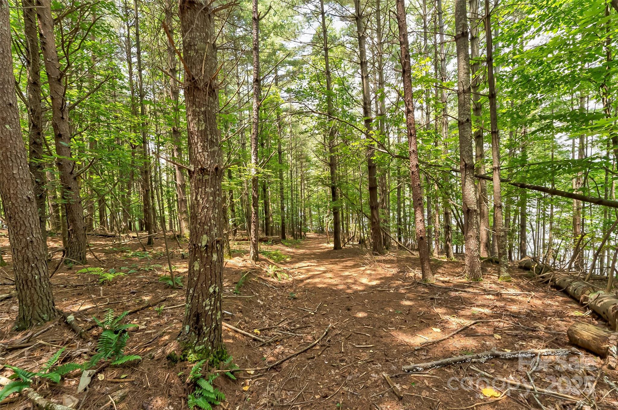 159 Deer Berry Drive 62