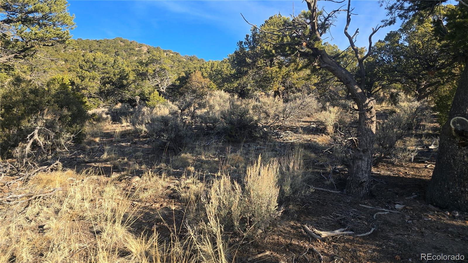 Lot 4582 Laidlaw Road