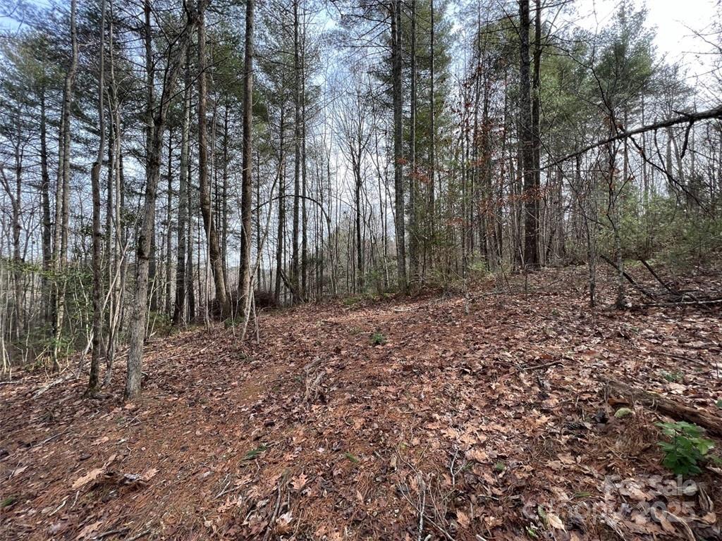 Lot 77, 1712 Round Mountain Parkway Lot 77
