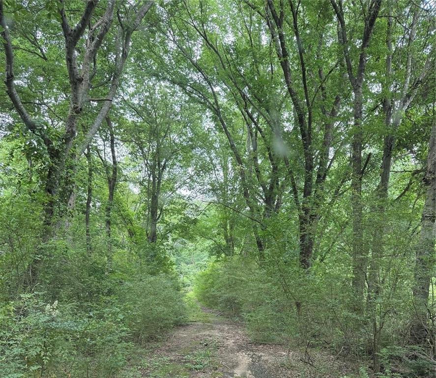 Heavily wooded 32 acres with no road frontage is located southeast of Sulphur Springs. The former County Road 2450 might possibly be re-opened to give buyers road frontage and access to this neat spot. Property also includes a small pond and 2 creeks with 10 acres in a flood plain area. A natural gas line runs through the property (see maps for more info). No electrical power are co-op water are currently on the property. Makes for a great hunting place on a property that is all wooded with a small clearing!