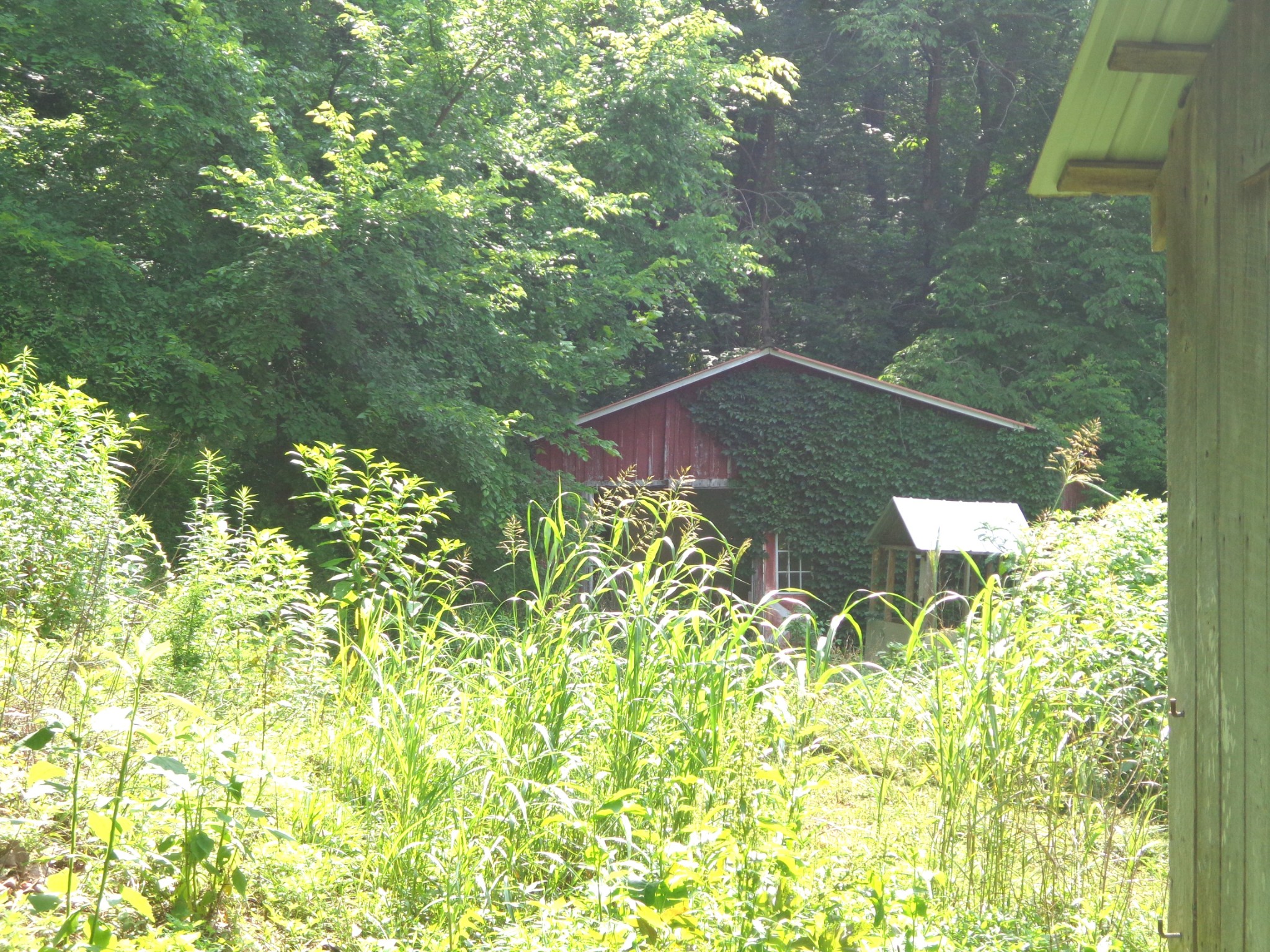 1342 Russell Creek Rd