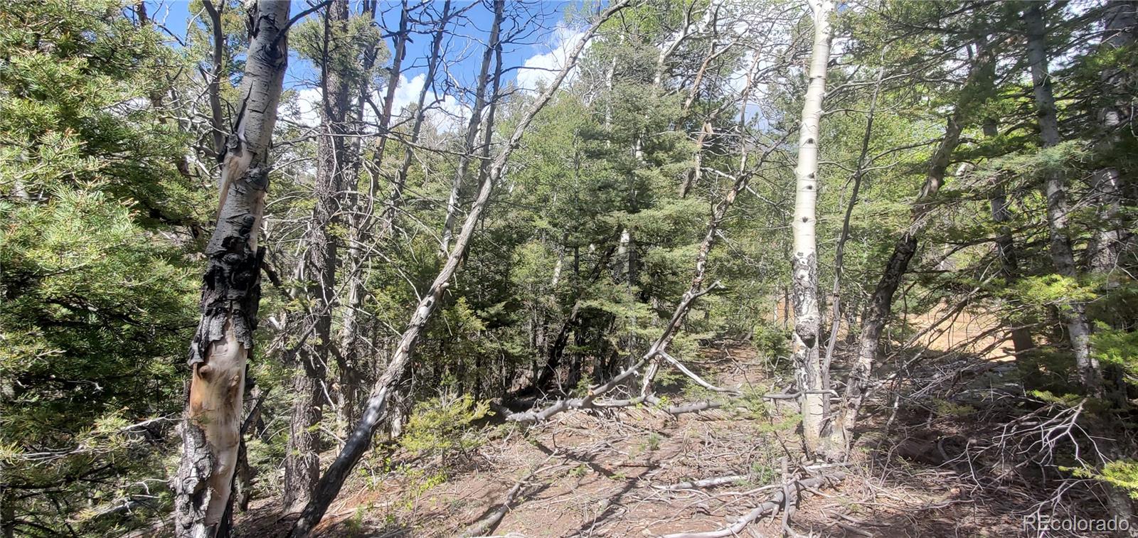 Lot 5610 Dawson Road