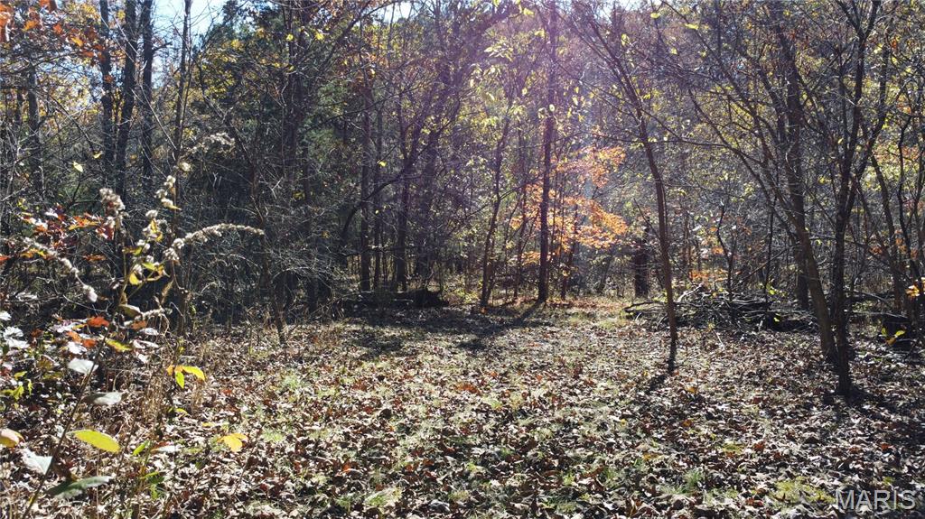 10256 Christina Trail