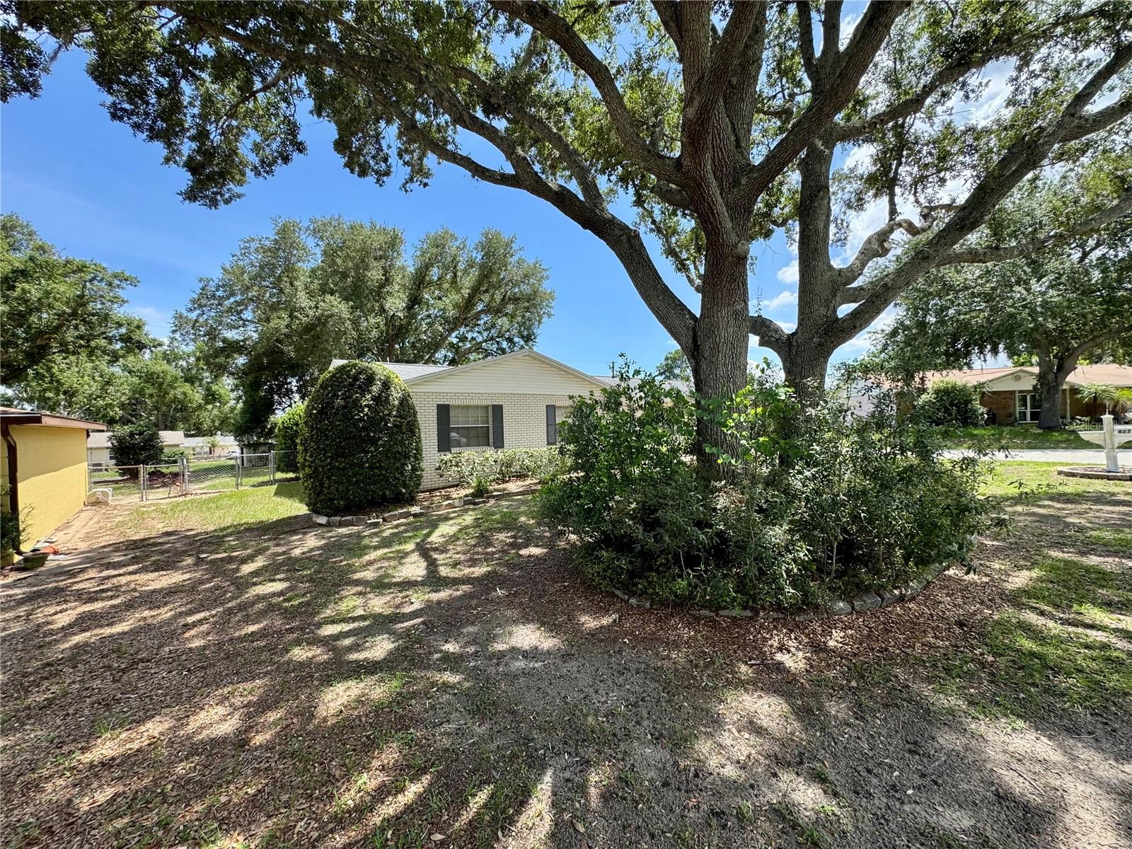 827 Strawberry Lane